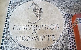 Hotel Bogavante Bahias De Papanoa 2*